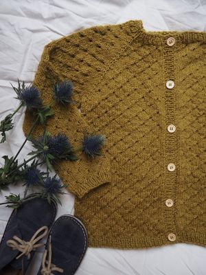 5 - Annas Sommercardigan